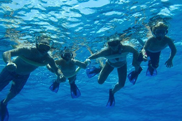 SNORKEL 2